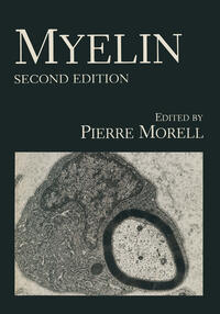 Vorderes Coverbild Myelin