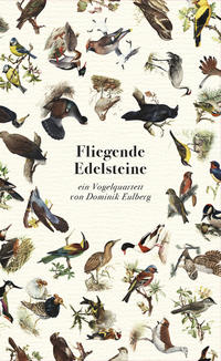 Vorderes Coverbild Fliegende Edelsteine