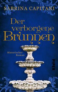 Vorderes Coverbild Der verborgene Brunnen