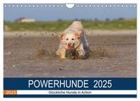Vorderes Coverbild POWERHUNDE 2025 (Wandkalender 2025 DIN A4 quer), CALVENDO Monatskalender