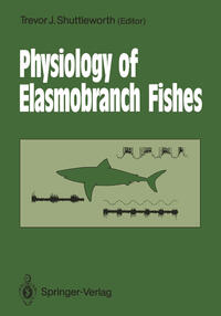 Vorderes Coverbild Physiology of Elasmobranch Fishes