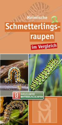 Vorderes Coverbild Heimische Schmetterlingsraupen
