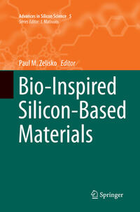 Vorderes Coverbild Bio-Inspired Silicon-Based Materials