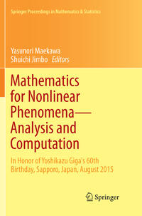 Vorderes Coverbild Mathematics for Nonlinear Phenomena — Analysis and Computation
