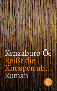 Vorderes Coverbild Reisst die Knospen ab...