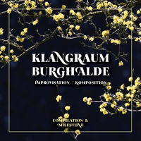 Vorderes Coverbild Klangraum Burghalde
