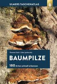 Vorderes Coverbild Baumpilze
