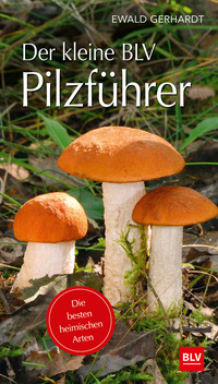 Vorderes Coverbild Der kleine BLV Pilzführer