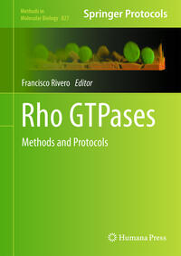 Vorderes Coverbild Rho GTPases