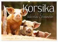 Vorderes Coverbild Korsika - süße, wilde Schweinchen (Wandkalender 2026 DIN A2 quer), CALVENDO Monatskalender