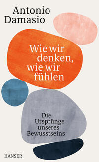 Vorderes Coverbild Wie wir denken, wie wir fühlen