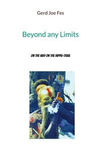Vorderes Coverbild Beyond any Limits
