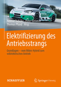 Vorderes Coverbild Elektrifizierung des Antriebsstrangs