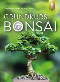 Vorderes Coverbild Grundkurs Bonsai