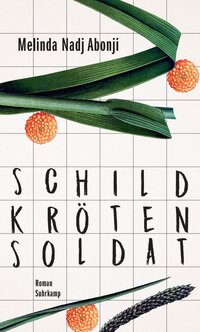 Vorderes Coverbild Schildkrötensoldat