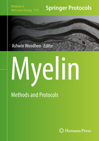 Vorderes Coverbild Myelin