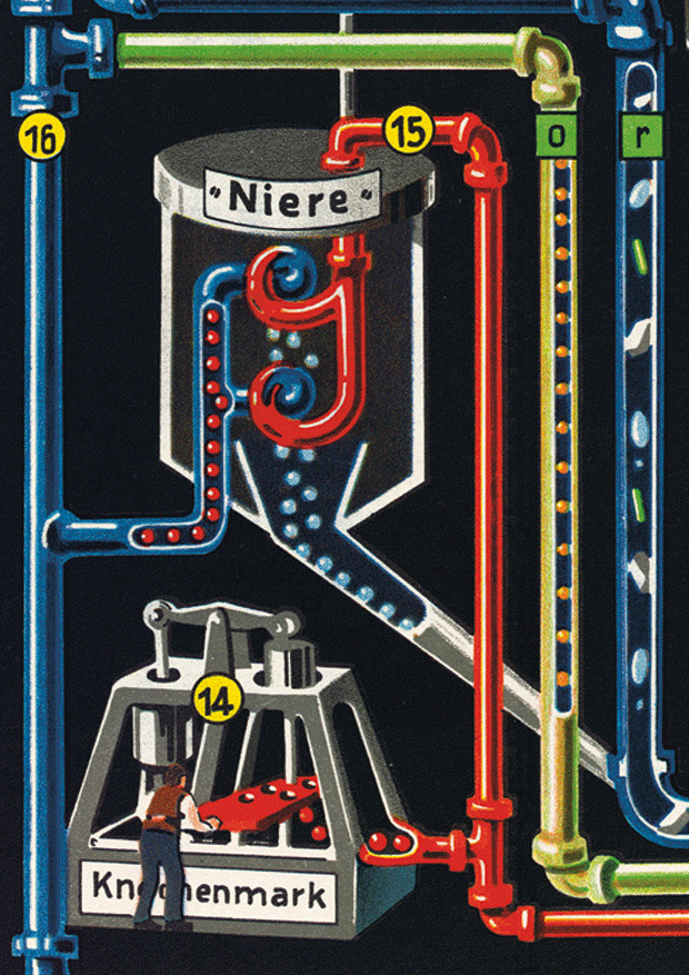 Beispielinhalt (Bild) Der Mensch als Industriepalast von Dr. Fritz Kahn