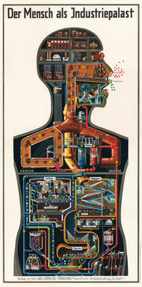 Vorderes Coverbild Der Mensch als Industriepalast von Dr. Fritz Kahn