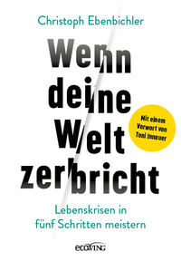 Vorderes Coverbild Wenn deine Welt zerbricht