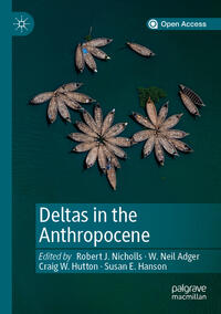 Vorderes Coverbild Deltas in the Anthropocene