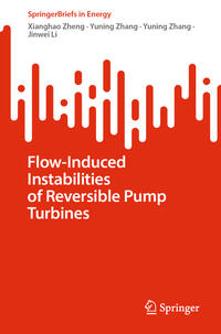 Vorderes Coverbild Flow-Induced Instabilities of Reversible Pump Turbines