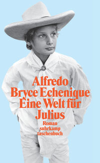 Vorderes Coverbild Eine Welt für Julius