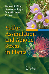 Vorderes Coverbild Sulfur Assimilation and Abiotic Stress in Plants
