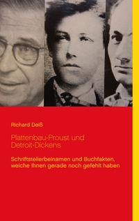 Vorderes Coverbild Plattenbau-Proust und Detroit-Dickens