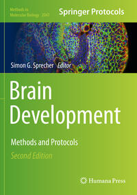 Vorderes Coverbild Brain Development