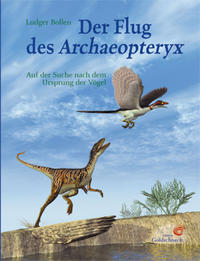 Vorderes Coverbild Der Flug des Archaeopteryx