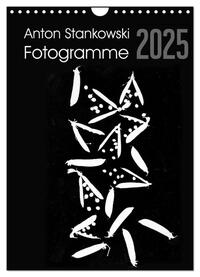 Vorderes Coverbild Anton Stankowski Fotogramme (Wandkalender 2025 DIN A4 hoch), CALVENDO Monatskalender