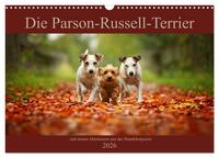 Vorderes Coverbild Die Parson-Russell-Terrier ...mit neuen Abenteuern aus der Hundeknipserei (Wandkalender 2026 DIN A3 quer), CALVENDO Monatskalender