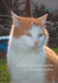 Vorderes Coverbild Katzen: Liebenswerte Seidenpfoten