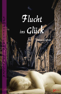 Vorderes Coverbild Flucht ins Glück