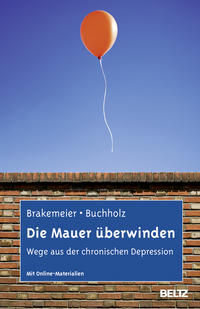Vorderes Coverbild Die Mauer überwinden