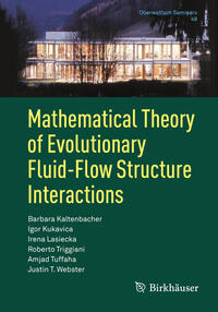 Vorderes Coverbild Mathematical Theory of Evolutionary Fluid-Flow Structure Interactions