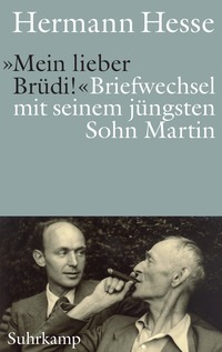 Vorderes Coverbild »Mein lieber Brüdi!«