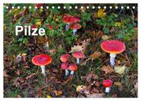 Vorderes Coverbild Pilze (Tischkalender 2025 DIN A5 quer), CALVENDO Monatskalender
