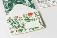 Vorderes Coverbild Botanical