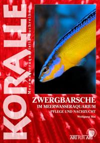 Vorderes Coverbild Zwergbarsche im Meerwasseraquarium