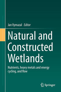 Vorderes Coverbild Natural and Constructed Wetlands
