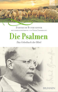 Vorderes Coverbild Die Psalmen
