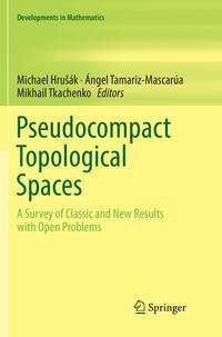 Vorderes Coverbild Pseudocompact Topological Spaces