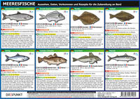 Vorderes Coverbild Info-Tafel-Set Meeresfische