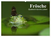 Vorderes Coverbild Frösche. Quakend durchs Leben (Wandkalender 2025 DIN A2 quer), CALVENDO Monatskalender