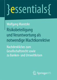 Vorderes Coverbild Risikobeteiligung und Verantwortung als notwendige Machtkorrektive