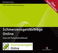 Vorderes Coverbild SchmerzensgeldBeträge Online