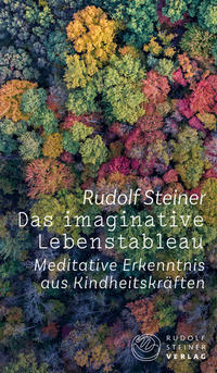 Vorderes Coverbild Das imaginative Lebenstableau