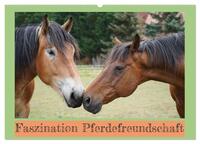 Vorderes Coverbild Faszination Pferdefreundschaft (Wandkalender 2025 DIN A2 quer), CALVENDO Monatskalender