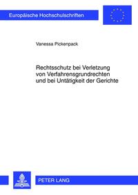 Vorderes Coverbild Rechtsschutz bei Verletzung von Verfahrensgrundrechten und bei Untätigkeit der Gerichte